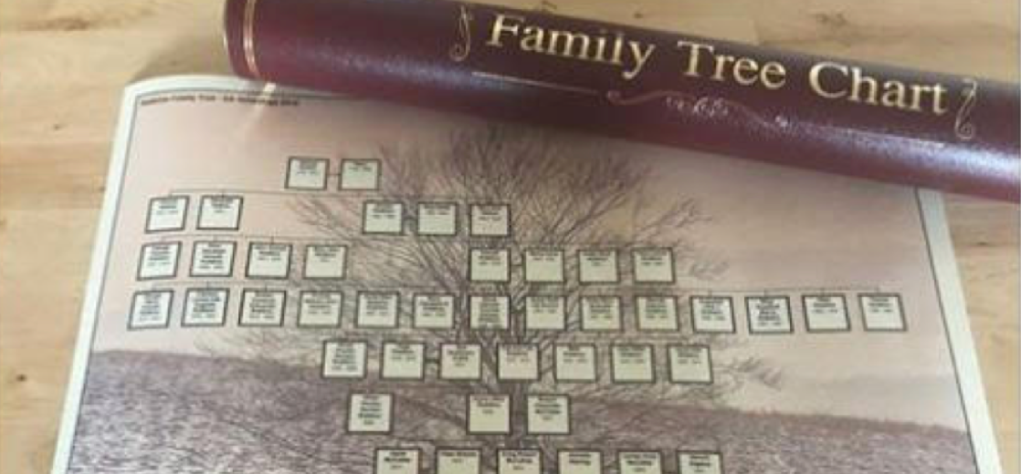 a family tree chart and case